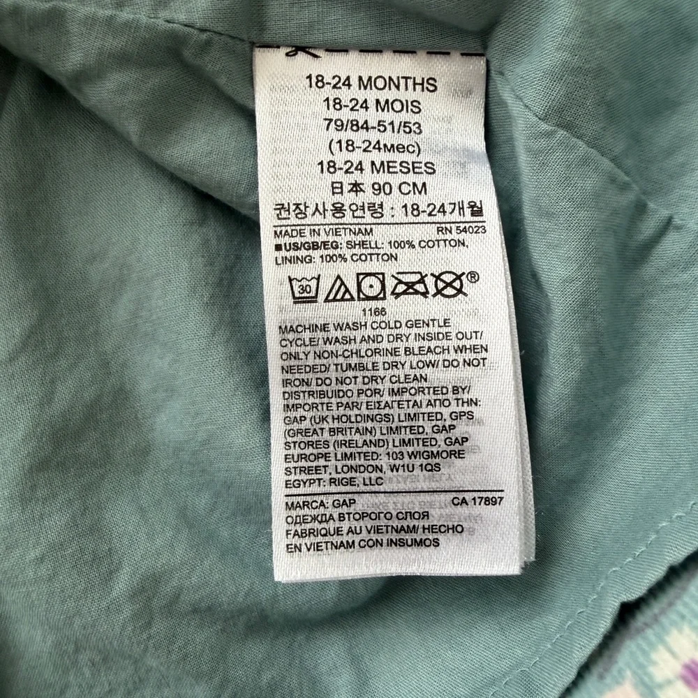 Baby Gap Winter Floral Corduroy Dress